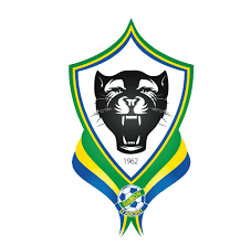 Logo Fegafoot